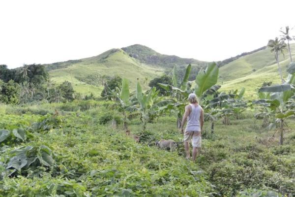 Bay Of Plenty Nature Lodge Nanuya Lailai Екстериор снимка