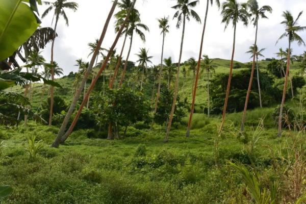Bay Of Plenty Nature Lodge Nanuya Lailai Екстериор снимка